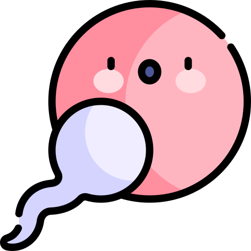 Ovulációs kalkulátor