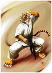 Husi Richárd - Karate-Önvedelem