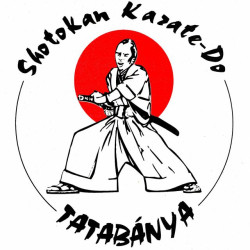 Turul Harcművészeti Sport Egyesület