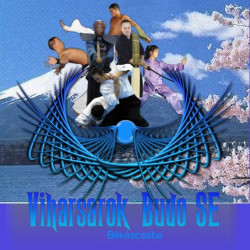 Viharsarok Budo Sport Egyesület