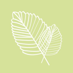 Fagus Hotel Conference & Spa