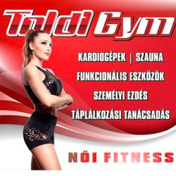 TOLDI GYM