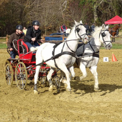 Téba Lovas Egyesület