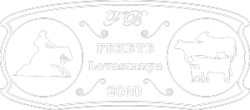 Fekete Western Lovastanya