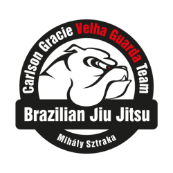 Carlson Gracie Velha Guarda Team