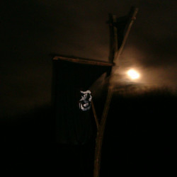 European Modern Ninjutsu VPG dojo