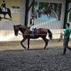 Sióréti Lovascentrum