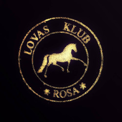 Rosa Lovas Iskola
