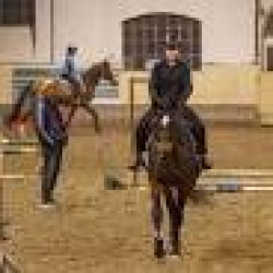 Balázs Lovastanya-Wiltfang Lovasklub