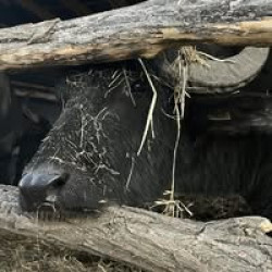 Csetényi Élménypark