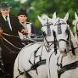 Jász Lovas Bandérium Egyesület