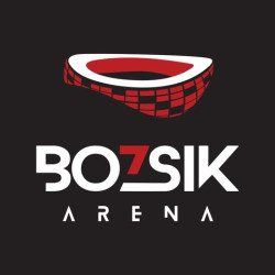 Bozsik Aréna