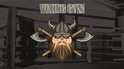 Viking küzdősport klub