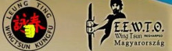 Leung Ting Wing Tsun Kung Fu  Kazincbarcikai csoport