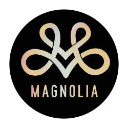 Magnólia Dunaharaszti